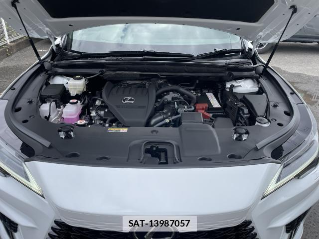 Lexus RX 2025-12 7815539-19