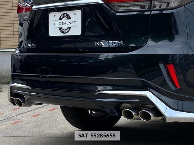 Lexus RX 2019-08 7816512-4