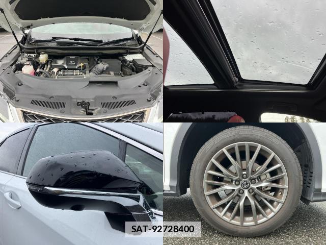 Lexus RX 2022-10 7817959-7