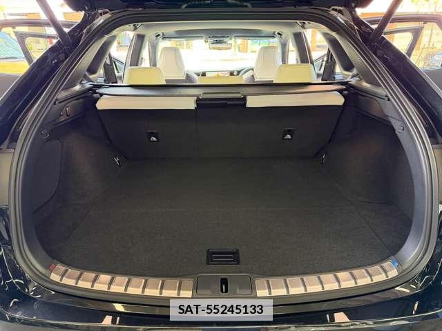 Lexus RX 2026-01 7818725-19