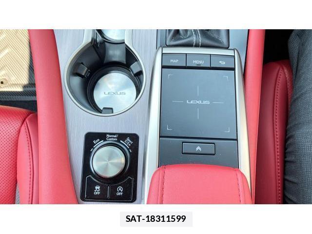 Lexus RX 2022-09 7819145-12