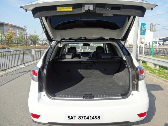 Lexus RX 2013-07 7819387-18