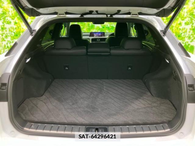 Lexus RX 2018-03 7821527-7