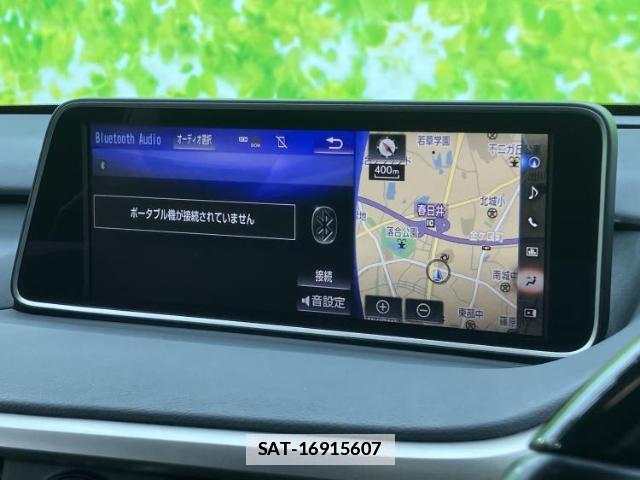 Lexus RX 2016-01 7821559-10