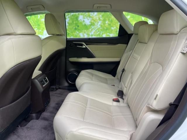 Lexus RX 2018-03 7822495-7