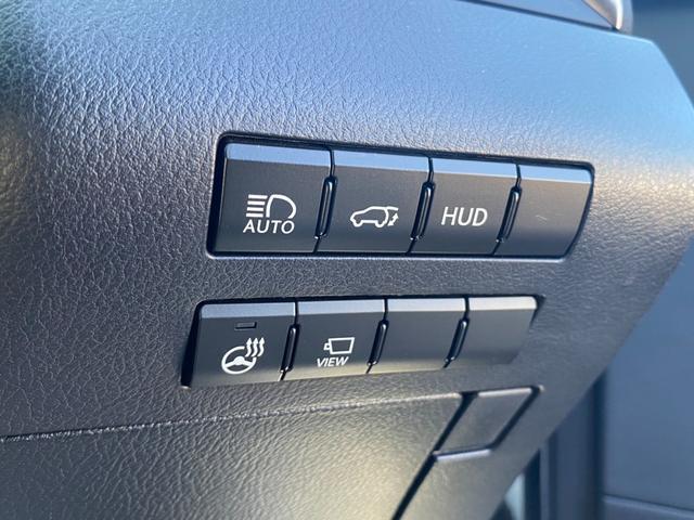 Lexus RX 2018-07 7822715-7
