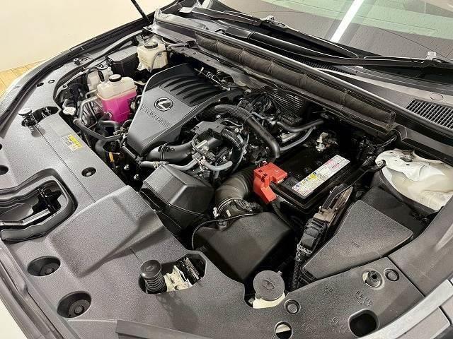 Lexus RX 2023-06 7822723-17