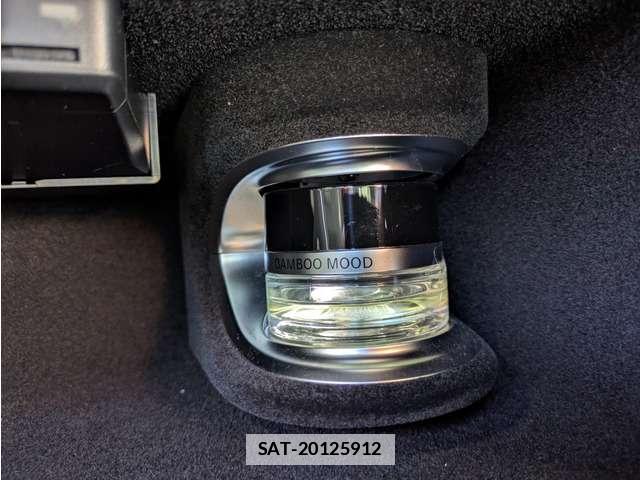 Mercedes Benz S-CLASS 2021-09 7819926-17
