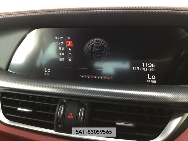 ALFA ROMEO STELVIO 2020-03 7817811-12