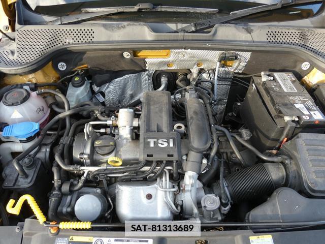 VolksWagen THE BEETLE 2017-11 7811968-11