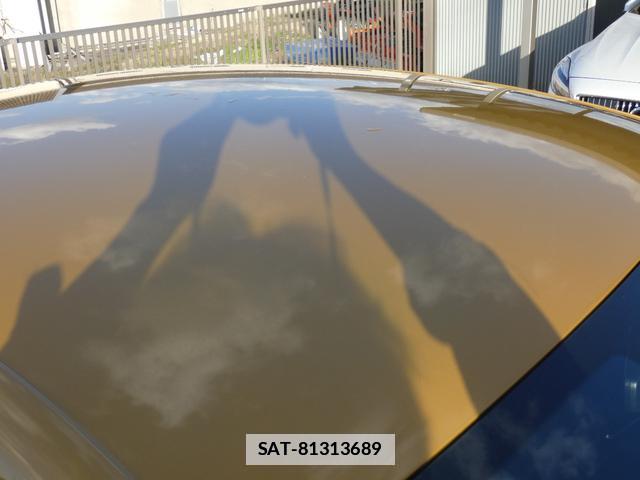 VolksWagen THE BEETLE 2017-11 7811968-17