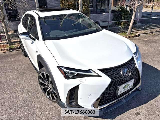 Lexus UX 2018-12 7811520-10