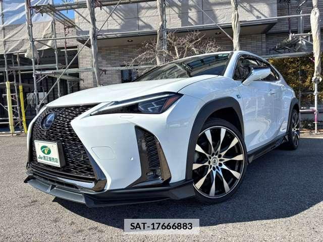 Lexus UX 2018-12 7811520-13