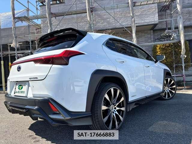 Lexus UX 2018-12 7811520-17