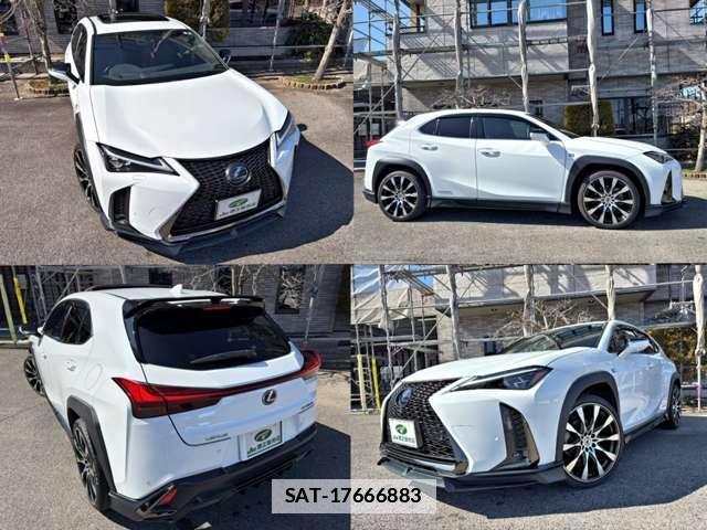 Lexus UX 2018-12 7811520-4