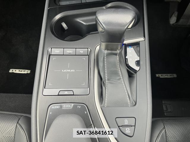Lexus UX 2019-03 7812747-17