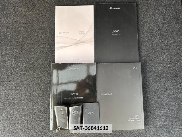 Lexus UX 2019-03 7812747-18