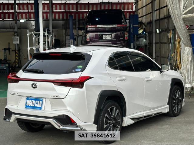 Lexus UX 2019-03 7812747-3