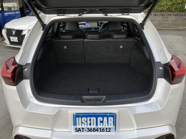 Lexus UX 2019-03 7812747-6