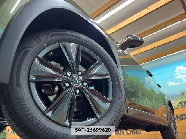 Lexus UX 2019-09 7816268-12