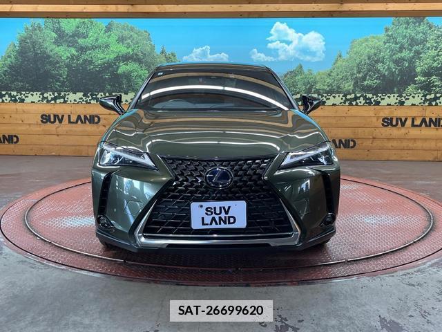 Lexus UX 2019-09 7816268-13