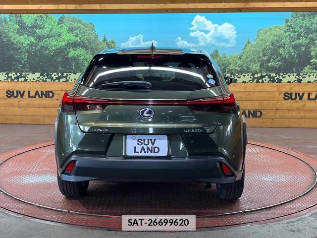 Lexus UX 2019-09 7816268-14