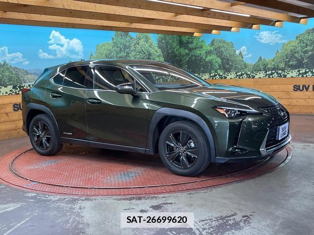 Lexus UX 2019-09 7816268-15