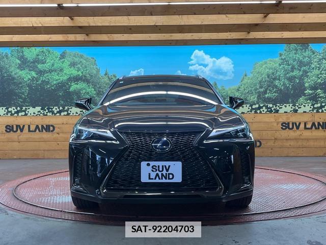 Lexus UX 2019-01 7816314-13