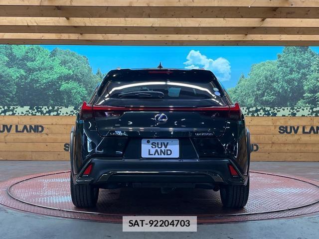 Lexus UX 2019-01 7816314-14