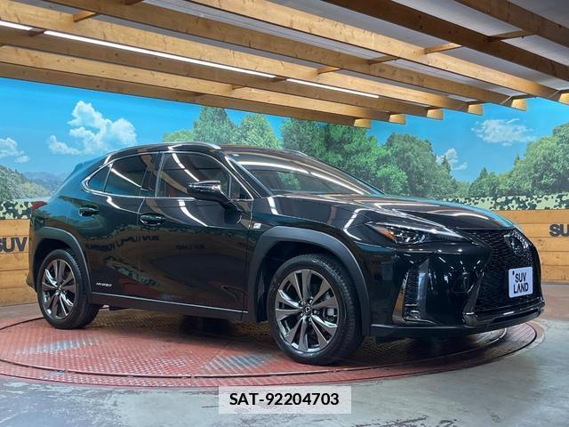 Lexus UX 2019-01 7816314-15