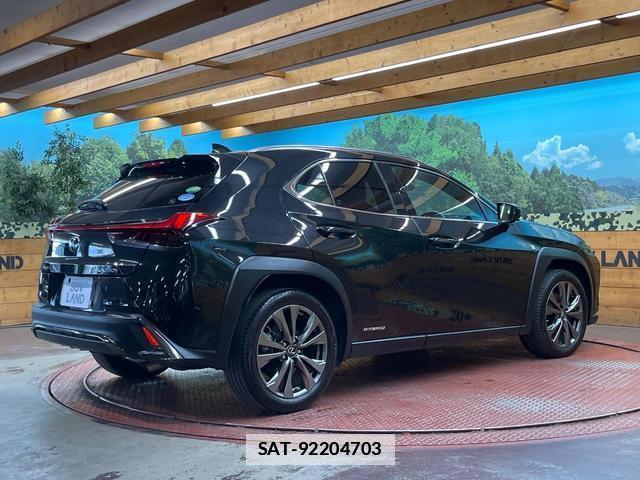 Lexus UX 2019-01 7816314-16