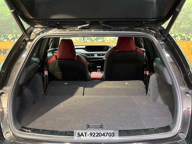 Lexus UX 2019-01 7816314-9