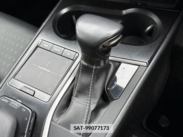 Lexus UX 2020-01 7821966-17