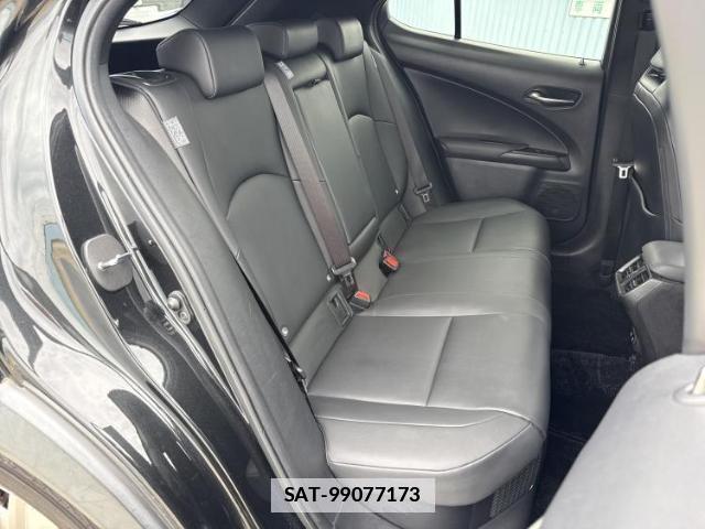 Lexus UX 2020-01 7821966-4