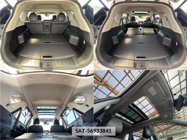 Nissan X-TRAIL 2019-03 7813119-19