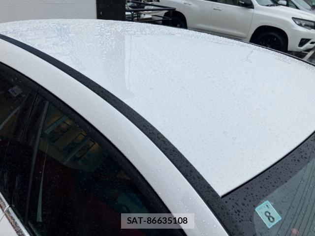 Mercedes Benz A-CLASS 2021-08 7872321-12