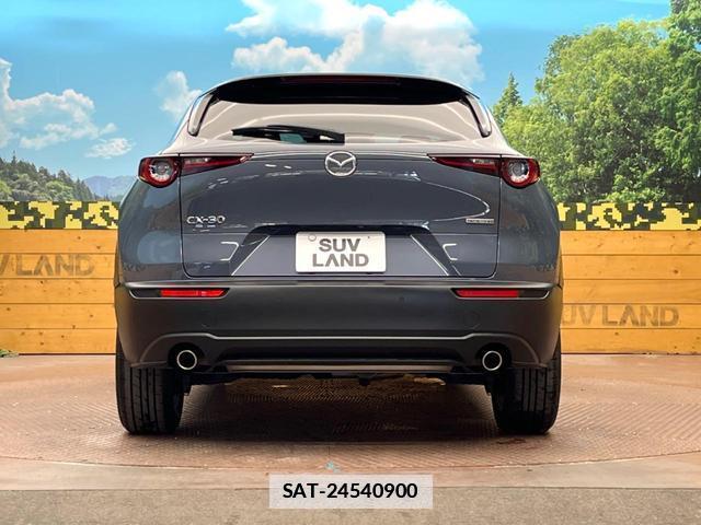 Mazda CX-30 2020-01 7868804-14