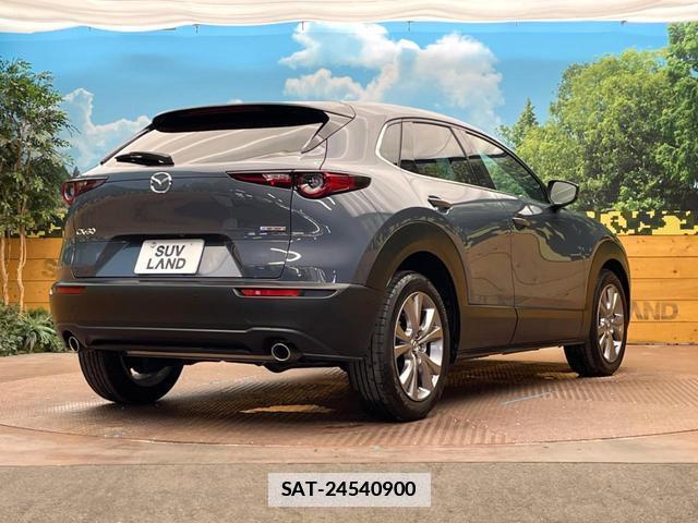 Mazda CX-30 2020-01 7868804-16