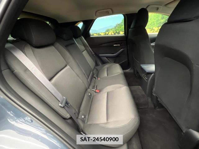 Mazda CX-30 2020-01 7868804-8