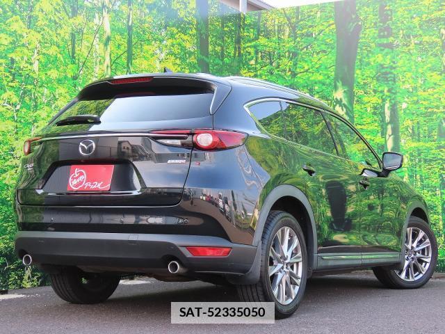 Mazda CX-8 2018-03 7872803-13