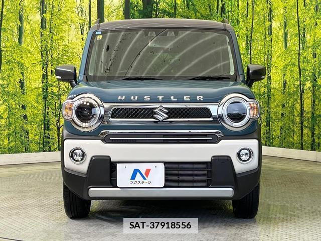 Suzuki HUSTLER 2023-09 7869423-13