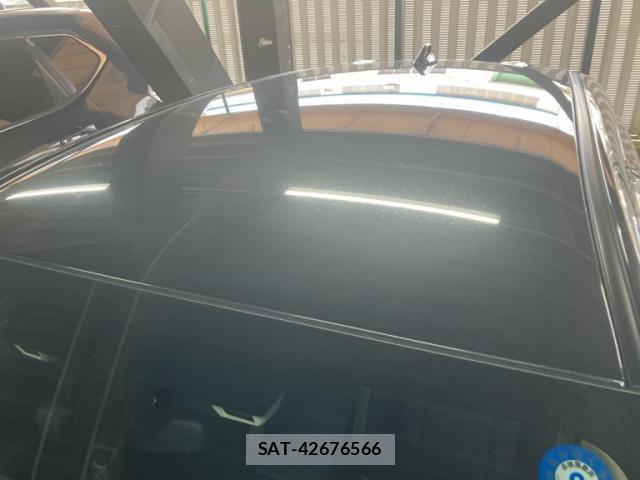 Subaru IMPREZA SPORTS 2018-04 7870099-4