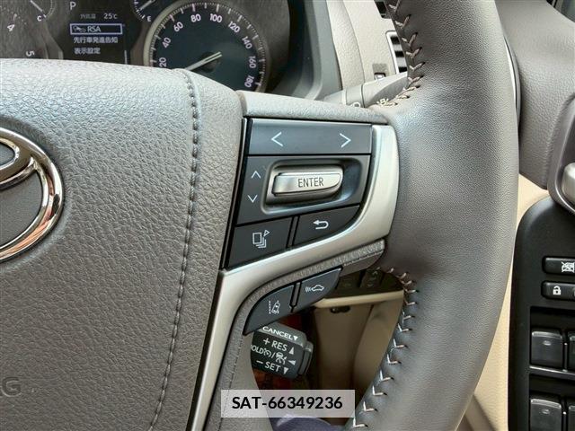 Toyota LAND CRUISER PRADO 2024-04 7872073-19