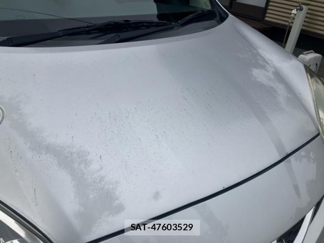 Nissan MARCH 2014-02 7871398-3
