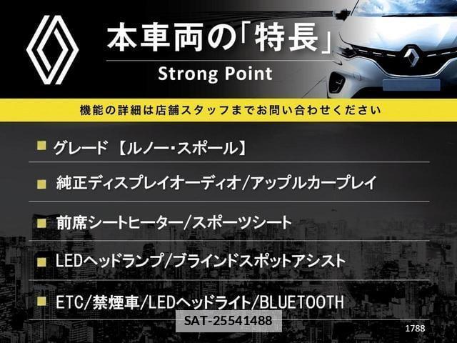 Renault MEGANE 2019-01 7870146-2