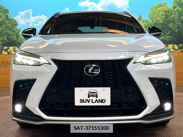 Lexus NX 2024-04 7869209-13