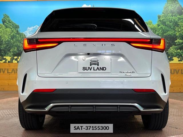 Lexus NX 2024-04 7869209-14