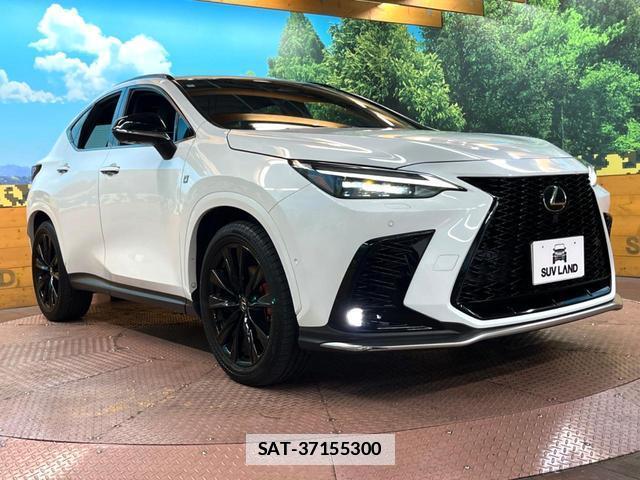 Lexus NX 2024-04 7869209-15