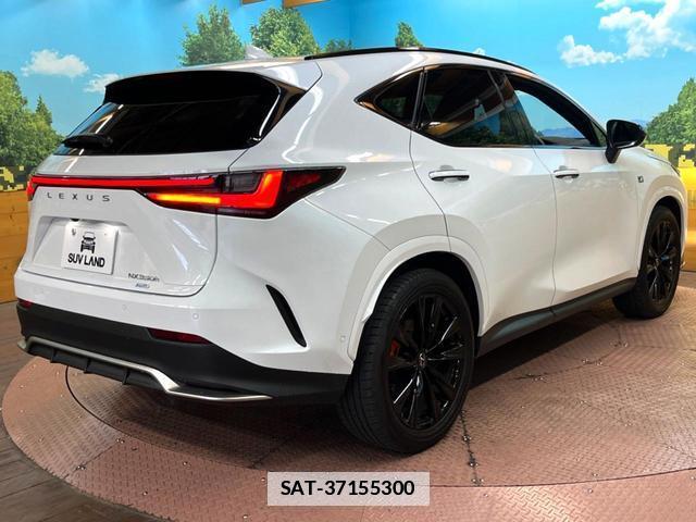 Lexus NX 2024-04 7869209-16