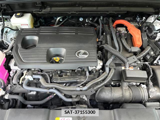 Lexus NX 2024-04 7869209-17